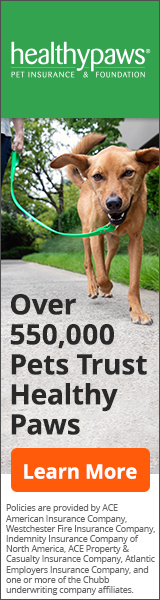 Healthy Paws Affiliate Ad