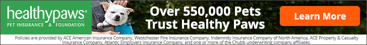 Healthy Paws Affiliate Ad