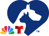 Clear the Shelters Participant